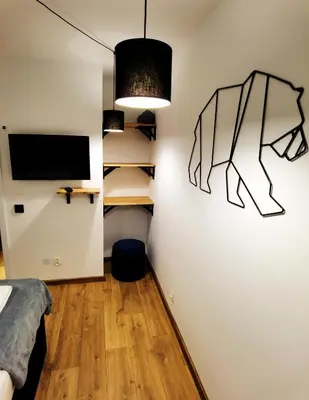 Telewizja i/lub zestaw kina domowego w obiekcie Apartament z Widokiem na Park