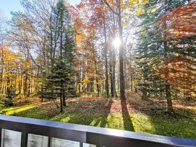Przyroda w pobliżu tego apartamentu