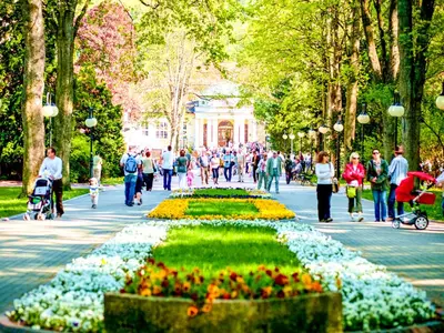 Goście zatrzymujący się w obiekcie Apartament z Widokiem na Park