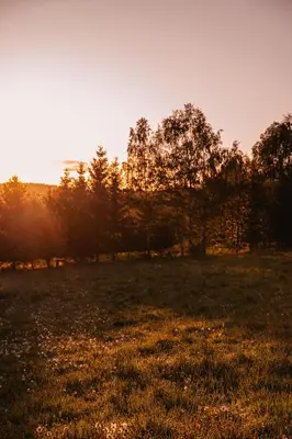 Przyroda w pobliżu tego domu wakacyjnego
