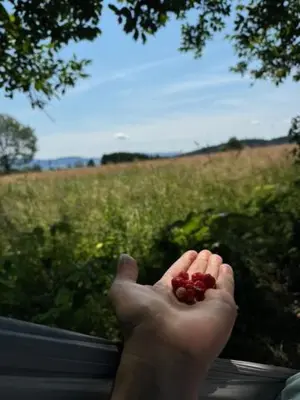 Przyroda w pobliżu tego gospodarstwa agroturystycznego