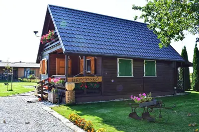 Ogród w obiekcie Leśny Zakątek Uroczysko - Domek z Balią