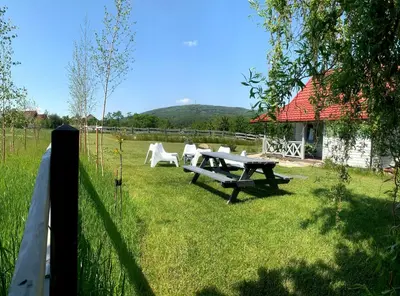Przyroda w pobliżu tego domu wakacyjnego