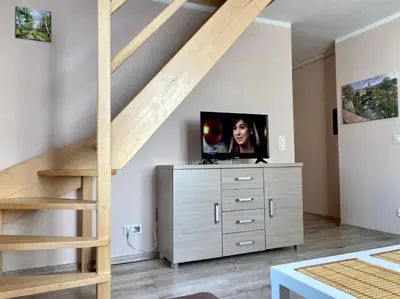 Telewizja i/lub zestaw kina domowego w obiekcie Apartamenty W Brzozowym Gaju