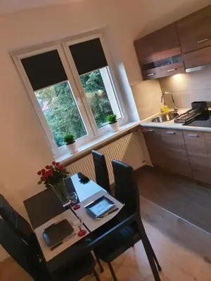 Kuchnia lub aneks kuchenny w obiekcie A&S Apartments - WIDOK