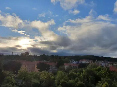 Przyroda w pobliżu tego apartamentu