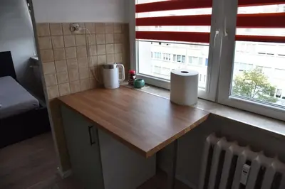 Kuchnia lub aneks kuchenny w obiekcie Kawalerka Górnośląska
