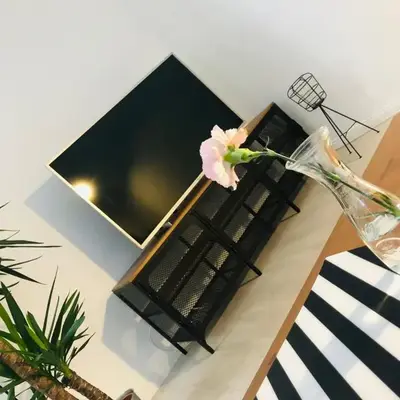 Apartament Akademia