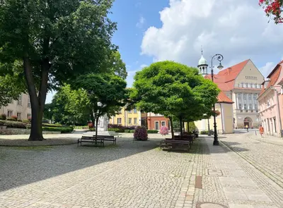 Ogród w obiekcie Apartament Lawendowy
