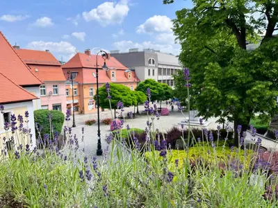 Ogród w obiekcie Apartament Lawendowy