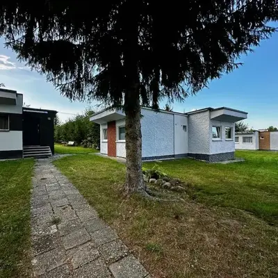 3 Kroki Do Lasu