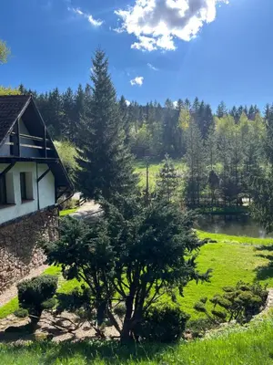 Ogród w obiekcie Górna79