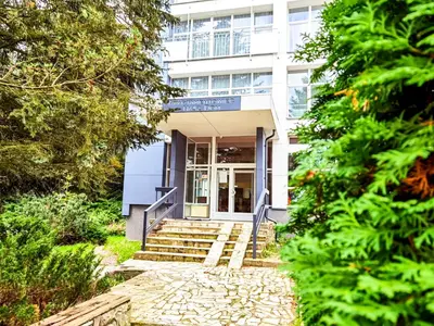 Ogród w obiekcie Apartament Okna na Park