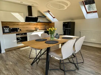 Kuchnia lub aneks kuchenny w obiekcie Apartament Spacerowa Lux
