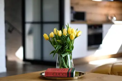 Plan piętra w obiekcie Apartament Spacerowa Lux