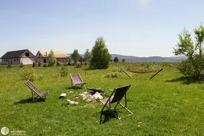Przyroda w pobliżu tego domu wakacyjnego