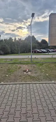 Przyroda w pobliżu tego apartamentu