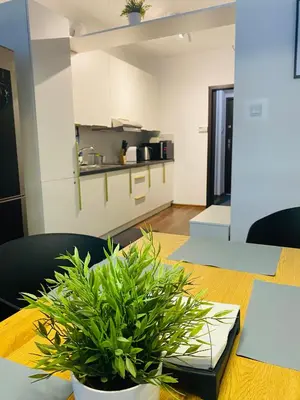 Kuchnia lub aneks kuchenny w obiekcie Apartament Zdrój Lądek