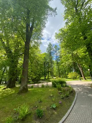 Ogród w obiekcie Apartament Zdrój Lądek