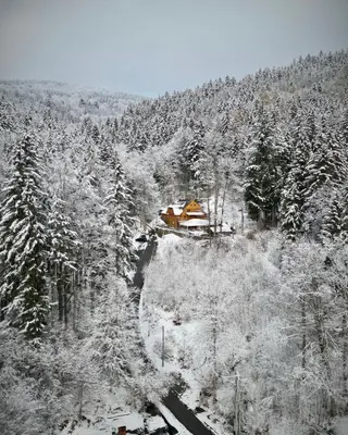 Obiekt Pensjonat Alpejski Dwór zimą