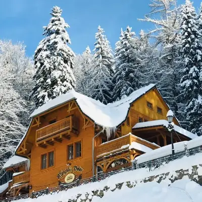 Pensjonat Alpejski Dwór