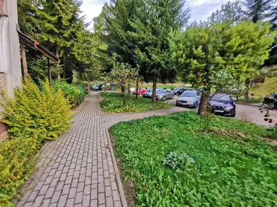 Ogród w obiekcie Apartament za Muzeum Papiernictwa