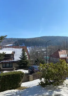 Przyroda w pobliżu tego apartamentu