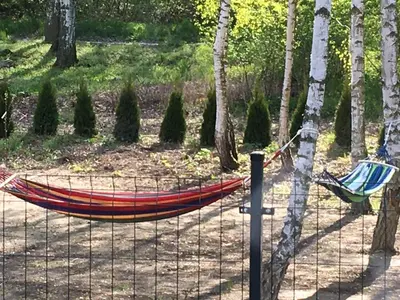 Ogród w obiekcie Apartament nad Jeziorem Nyskim