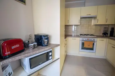 Kuchnia lub aneks kuchenny w obiekcie Apartament Tuzanocuj