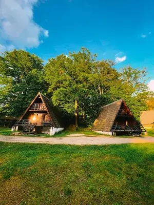 Przyroda w pobliżu tego domku letniskowego