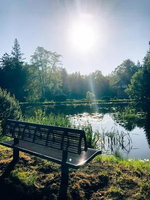 Przyroda w pobliżu tego domku letniskowego
