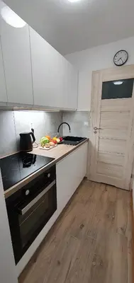 Kuchnia lub aneks kuchenny w obiekcie Apartament Altheide