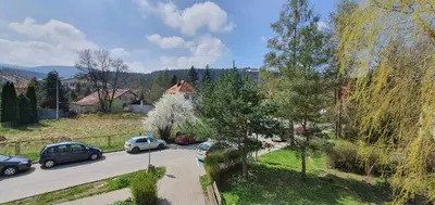 Przyroda w pobliżu tego apartamentu