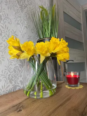 Plan piętra w obiekcie Apartament Artemida Kletno