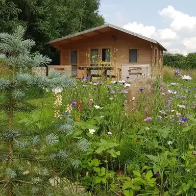 Domki pod Brzózkami