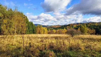 Przyroda w pobliżu tego domu wakacyjnego
