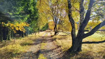 Przyroda w pobliżu tego domu wakacyjnego