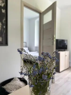 Telewizja i/lub zestaw kina domowego w obiekcie Apartament Jedlinka