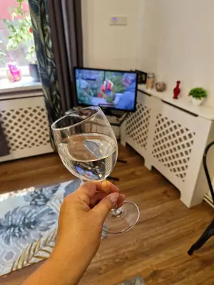Telewizja i/lub zestaw kina domowego w obiekcie Przy rynku