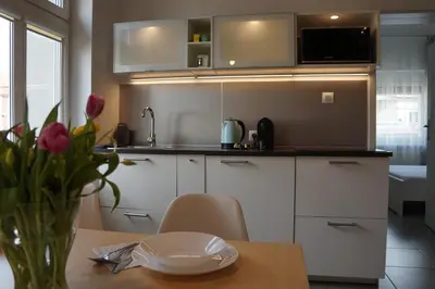 Kuchnia lub aneks kuchenny w obiekcie Apartament Gliwice Centrum Fredry I