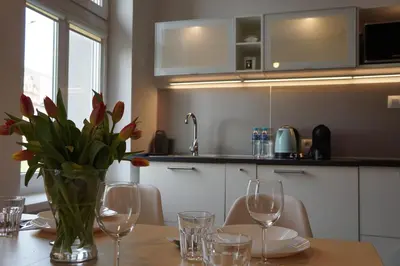 Kuchnia lub aneks kuchenny w obiekcie Apartament Gliwice Centrum Fredry I