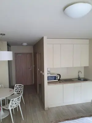 Kuchnia lub aneks kuchenny w obiekcie Czarna Góra Apartament ISCHGL 18