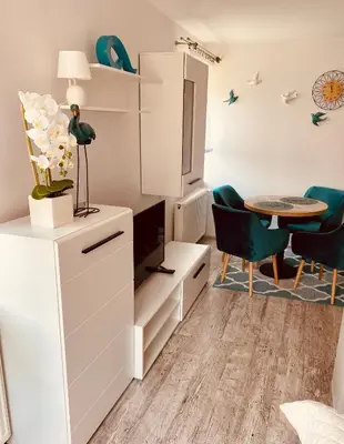 Kuchnia lub aneks kuchenny w obiekcie Apartament Cicha Woda