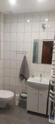 Łazienka w obiekcie Siedlisko Waliszówka