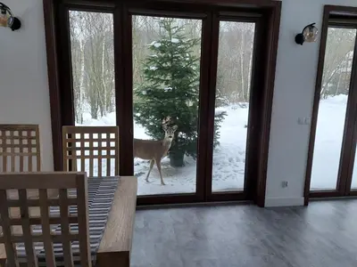 Obiekt Willa Na Pstrążnicy zimą