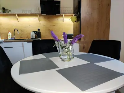 Kuchnia lub aneks kuchenny w obiekcie Apartament Szumi Las Kletno
