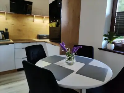Kuchnia lub aneks kuchenny w obiekcie Apartament Szumi Las Kletno