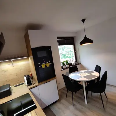 Kuchnia lub aneks kuchenny w obiekcie Apartament Szumi Las Kletno