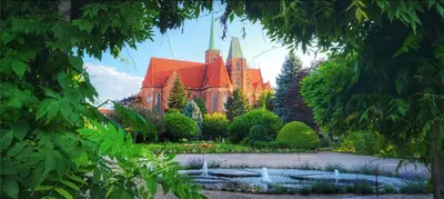 Przyroda w pobliżu tego apartamentu