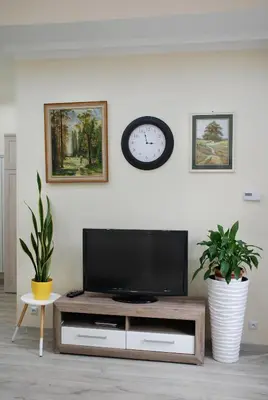 Telewizja i/lub zestaw kina domowego w obiekcie Apartment - Przy Rynku self check in 24h od 14 00
